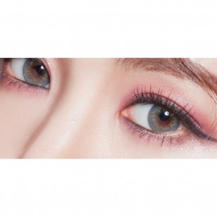 Pristea Gray(月拋)